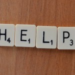 17134688855_c515f76531_z